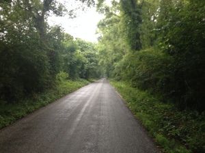 The road at Hickory Hill